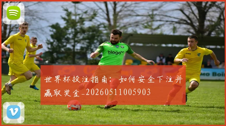 世界杯投注指南：如何安全下注并赢取奖金_20260511005903